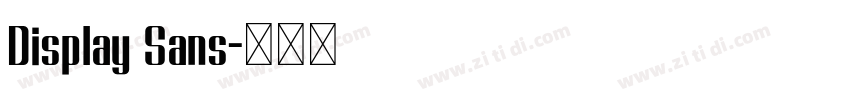 Display Sans字体转换 Display Sans字体转换